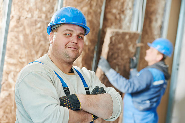 Best Cellulose Insulation in Ivanhoe, CA